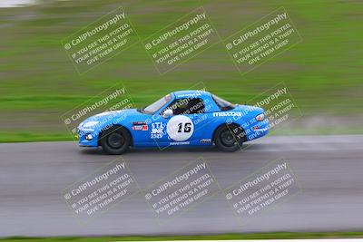 media/Jan-14-2023-CalClub SCCA (Sat) [[d2757389b8]]/Group 1/Qualifying (Front Straight)/